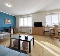 Exkluzívne | Na prenájom priestranný 1i byt Ružinove - 1-izbový byt s podlahou s dreveným dekorom, konferenčným stolom a modrou stenou.