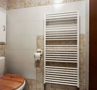 Exkluzívne | Na prenájom priestranný 1i byt Ružinove - Kúpeľňa v 1-izbovom byte, s bielymi a mozaikovými obkladmi, rebríkovým radiátorom a toaletou.