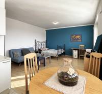 Exkluzívne | Na prenájom priestranný 1i byt Ružinove - Interiér 1-izbového bytu s podlahou s dreveným dekorom, pohovkou a pracovným stolom.