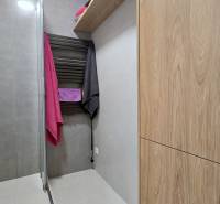 Moderný, rekonštruovaný 3i byt, pivnica, Jašíkova ul., Ružinov - Pošeň - Kúpeľňa v 3-izbovom byte s dreveným dekorom skrinky a otvoreným sprchovým kútom.