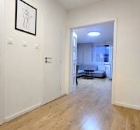 Moderný, rekonštruovaný 3i byt, pivnica, Jašíkova ul., Ružinov - Pošeň - Chodba v 3-izbovom byte s podlahou s dreveným dekorom a obrazom na stene.