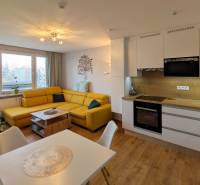 ŠTÝLOVÝ 3,5-IZBOVÝ BYT S NÁBYTKOM NA MIERU, A. HLINKU, ZVOLEN - Obývačka v 3-izbovom byte s pohovkou, vianočným stromčekom a kuchynskou linkou.