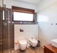 Novalja – luxusná vila s bazénom, jacuzzi a výhľadom na more - Moderná kúpeľňa s veľkým oknom vo Vile, má sprchový kút a WC.