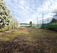 Veľkometrážny dom s wellness, bazénom a investičným potenciálom - Záhrada rodinného domu na ulici SNP v Ivanke pri Dunaji s ihličnatými stromami a plotom.