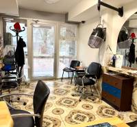 Na prenájom zdieľaný priestor, Kaderníctvo, Ružinov, Spustníkova ulica - Kaderníctvo s dekoratívnou podlahou a vybavením v obchodných priestoroch.