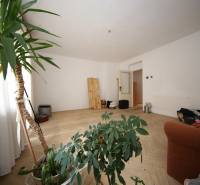 3-izb. byt v rekonštrukcii, Ľubochňa okres Ružomberok - Svetlá miestnosť v 3-izbovom byte s podlahou s dreveným dekorom a izbovými rastlinami.