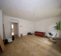 3-izb. byt v rekonštrukcii, Ľubochňa okres Ružomberok - Obývacia izba s pohovkou, podlahou s dreveným dekorom a izbovou rastlinou v 3-izbovom byte.