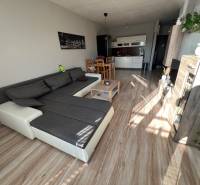 2iz byt v novostavbe Hlohovec Zľava!!! - Obývacia izba s kuchynským kútom, podlaha s dreveným dekorom, 2-izbový byt, svetlá pohovka.