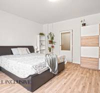 NA PREDAJ 6-IZBOVÝ RD S VEĽKÝM POZOMKOM, DOLNÝ ŠTÁL - Spálňa s posteľou, skriňou, rastlinami a podlahou s dreveným dekorom v rodinnom dome.