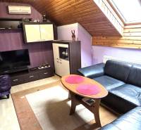 Na predaj 2 rodinné domy vhodné na bývanie i podnikanie, Trnava! - Obývačka v podkroví so sedačkou, klietkou pre vtáka a televízorom.