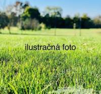 LUKRATÍVNY STAVEBNÝ POZEMOK V DUNAJSKEJ STREDE - Zeleň na pozemku v Dunajskej Strede, vhodná na bývanie.