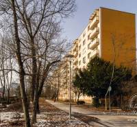 Zariadený 2-izbový byt, DVE NEPRIECHODNÉ IZBY, OC RETRO - Panelový dom v Bratislave-Ružinove na Rumančekovej ulici obklopený stromami v zimnom období.