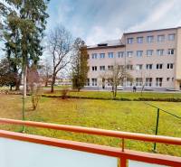 Na predaj 2,5 izbový byt v pôvodnom stave, 79 m2, Pod Sokolice, TN - Záhrada pri 2-izbovom byte na ulici Pod Sokolice v Trenčíne, obklopená stromami a trávnikom.