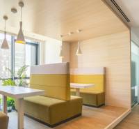 Neobmedzený prístup do coworkingu v oblasti HQ Seberiniho - Kancelárie s posedením, svietidlami, rastlinami a podlahou s dreveným dekorom.