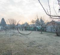 NA PREDAJ priestranný 4-izbový rodinný dom v Plaveckom Štvrtku - Záhrada rodinného domu v Plaveckom Štvrtku s ovocnými stromami a trávnikom.