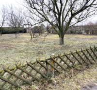 Stavebný pozemok v tichej lokalite , Kittsee - Záhrada v Kittsee s ovocnými stromami a dreveným plotom, vhodné pre Pozemky - bývanie.