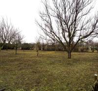 Stavebný pozemok v tichej lokalite , Kittsee - Pozemky - bývanie v Kittsee so stromami a trávnatou plochou, obklopené plotom.