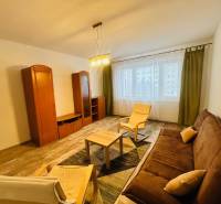 Prenajom 3 izb. bytu na Vajanskeho v NZ - Obývacia izba v 3-izbovom byte s hnedou sedačkou a podlahou s dreveným dekorom.