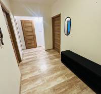 Prenajom 3 izb. bytu na Vajanskeho v NZ - Chodba s podlahou s dreveným dekorom v 3-izbovom byte, zrkadlo a skriňa.
