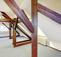 3D, kancelárske priestory od 16 m2, Grösslingova ul., Staré Mesto - Kancelárie s drevenými trámami a strešnými oknami, koberec, radiátor.