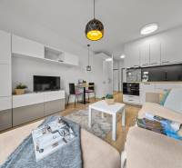 ZARIADENÝ 1-IZBOVÝ BYT, SLNEČNICE – IDEÁLNA INVESTÍCIA AJ BÝVANIE - 1-izbový byt so svetlou nábytkom, podlahou s dreveným dekorom a obývacou stenou.