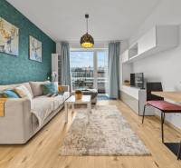 ZARIADENÝ 1-IZBOVÝ BYT, SLNEČNICE – IDEÁLNA INVESTÍCIA AJ BÝVANIE - Obývacia izba v 1-izbovom byte s pohovkou, TV, kobercom a podlahou s dreveným dekorom.