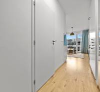 ZARIADENÝ 1-IZBOVÝ BYT, SLNEČNICE – IDEÁLNA INVESTÍCIA AJ BÝVANIE - Interiér 1-izbového bytu s podlahou s dreveným dekorom a svetlým zariadením.