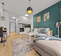 ZARIADENÝ 1-IZBOVÝ BYT, SLNEČNICE – IDEÁLNA INVESTÍCIA AJ BÝVANIE - Obývačka s podlahou s dreveným dekorom, pohovkou, kuchyňou a jedálenským kútom v 1-izbovom byte.