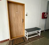 REZERVOVANÉ/ 3- izbový byt blízko centra mesta, Vrbové - Vstupné dvere do 3-izbového bytu s lavičkou a kobercom.