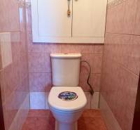 REZERVOVANÉ/ 3- izbový byt blízko centra mesta, Vrbové - Toaleta s ružovými obkladačkami v 3-izbovom byte, obsahuje úložnú skrinku nad splachovačom.