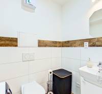 Mezonetový 3-izb. byt, Stará Ľubovňa, Popradská ulica - Kúpeľňa v 3-izbovom byte s umývadlom, toaletou a dreveným dekorom na stenách.