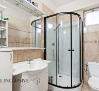 Na predaj 4-izb. rodinný dom s garážou, Okoč - Kúpeľňa s toaletou, sprchovacím kútom a zrkadlom v rodinnom dome.