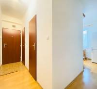 NA PRENÁJOM 2-IZBOVÝ BYT, NÁRODNÁ TRIEDA - Vstupná hala v 2-izbovom byte s podlahou s dreveným dekorom.