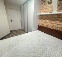 TOPOĽČANY Priestranný 1-izbový byt na prenájom 60 m2 - Spálňa s tehlovým obkladom steny a posteľou v 1-izbovom byte, podlaha s dreveným dekorom.