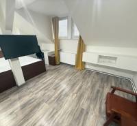 TOPOĽČANY Priestranný 1-izbový byt na prenájom 60 m2 - Podkrovný priestor v 1-izbovom byte s podlahou s dreveným dekorom a televízorom na stene.