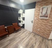 TOPOĽČANY Priestranný 1-izbový byt na prenájom 60 m2 - Izba s podlahou s dreveným dekorom a tehlovým obkladom, zariadená sedacím nábytkom.