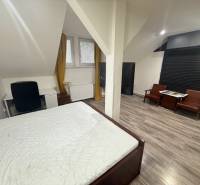 TOPOĽČANY Priestranný 1-izbový byt na prenájom 60 m2 - Spálňa v 1-izbovom byte s podlahou s dreveným dekorom a nábytkom.