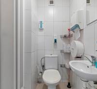 Showroom/kancelárie 357 m², Zadunajská cesta, Petržalka, BA - Kúpeľňa s WC, sprchou, umývadlom a dávkovačmi mydiel v obchodných priestoroch.