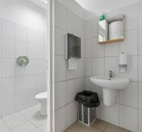 Showroom/kancelárie 357 m², Zadunajská cesta, Petržalka, BA - Hygienické zariadenie s umývadlom a toaletou v obchodných priestoroch.