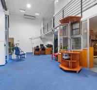 Showroom/kancelárie 357 m², Zadunajská cesta, Petržalka, BA - Obchodné priestory s modrým kobercom, kancelárskym nábytkom a rastlinami.