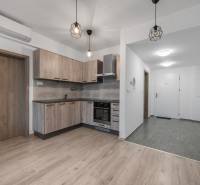 PREDAJ 2-IZBOVÉHO BYTU – NOVOSTAVBA JARABINKY, RUŽINOV - Kuchyňa 2-izbového bytu s podlahou s dreveným dekorom a vstavanými svetlami.