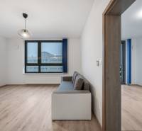 PREDAJ 2-IZBOVÉHO BYTU – NOVOSTAVBA JARABINKY, RUŽINOV - Obývacia izba so sedačkou, veľkým oknom a podlahou s dreveným dekorom v 2-izbovom byte.