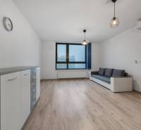 PREDAJ 2-IZBOVÉHO BYTU – NOVOSTAVBA JARABINKY, RUŽINOV - Obývacia izba v 2-izbovom byte s pohovkou a podlahou s dreveným dekorom.