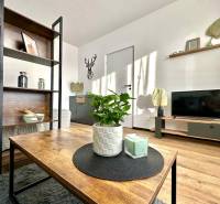 REZERVOVANÝ PREDAJ 1-izbový byt, Vlčince - okr. Žilina - Obývacia izba v 1-izbovom byte s podlahou s dreveným dekorom a dekoráciami.