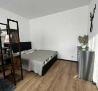 REZERVOVANÝ PREDAJ 1-izbový byt, Vlčince - okr. Žilina - Spálňa v 1-izbovom byte s podlahou s dreveným dekorom a minimalistickým zariadením.