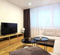 Prenájom komfortný, zariadený 3 izbový byt po úplnej rekonštrukcii - Obývacia izba v 3-izbovom byte so sedačkou, televíziou a stolíkom na podlahe s dreveným dekorom.