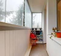 Veľkometrážny 3i byt s výťahom a pivnicou | Ružinov | 82m2 - Zasklený balkón s policami a rastlinami v 3-izbovom byte.