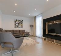 Exkluzívny 2i byt s terasou a parkovaním, Kramáre - Obývačka 2-izbového bytu s pohovkou, kreslom, stolom, televízorom a kobercom.