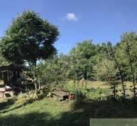 Rodinný dom v srdci Štiavnických vrchov, Štiavnické Bane. - Záhrada rodinného domu v Štiavnických Baniach, s altánkom a stromami pod modrou oblohou.