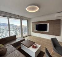 3-izb. byt, Martina Granca, Dúbravka, novostavba Pekná výhliadka - Obývacia izba s podlahou s dreveným dekorom a výhľadom v 3-izbovom byte.